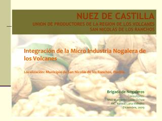 NUEZ DE CASTILLA UNION DE PRODUCTORES DE LA REGION DE LOS VOLCANES SAN NICOLÁS DE LOS RANCHOS