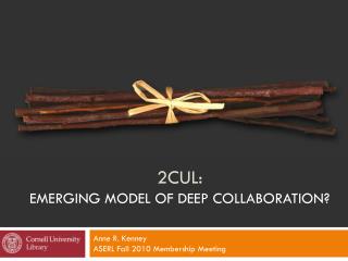 2CUL: Emerging Model of Deep Collaboration?