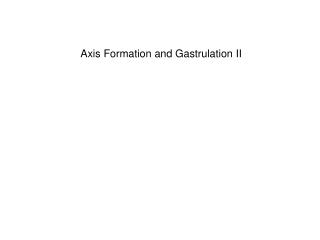 Axis Formation and Gastrulation II