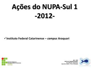 Ações do NUPA-Sul 1 -2012-