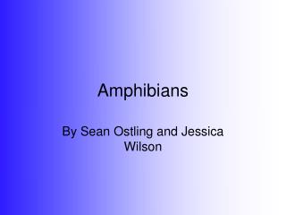 Amphibians