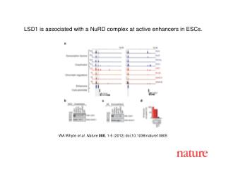 WA Whyte et al . Nature 000 , 1 - 5 (2012) doi:10.1038/nature10805