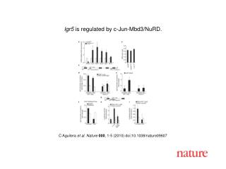 C Aguilera et al. Nature 000 , 1-5 (2010) doi:10.1038/nature09607