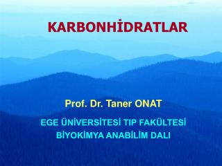 KARBONHİDRATLAR