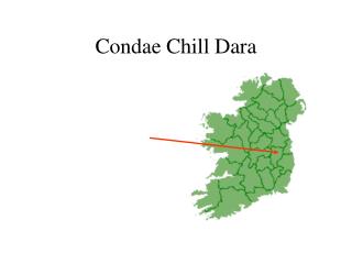 Condae Chill Dara