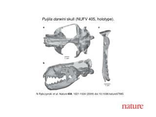 N Rybczynski et al. Nature 458 , 1021-1024 (2009) doi:10.1038/nature07985