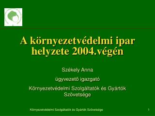 A környezetvédelmi ipar helyzete 2004.végén