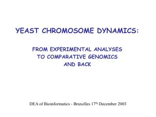 YEAST CHROMOSOME DYNAMICS: FROM EXPERIMENTAL ANALYSES TO COMPARATIVE GENOMICS AND BACK