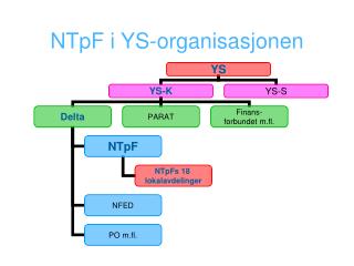 NTpF i YS-organisasjonen