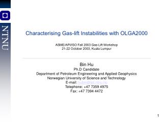 Characterising Gas-lift Instabilities with OLGA2000 ASME/API/ISO Fall 2003 Gas-Lift Workshop