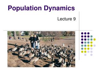 Population Dynamics