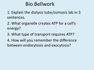 Bio Bellwork