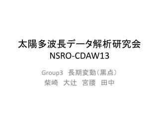 太陽多波長データ解析研究会　 NSRO-CDAW13