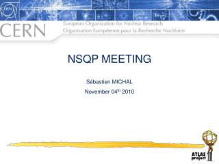 NSQP MEETING Sébastien MICHAL November 04 th 2010