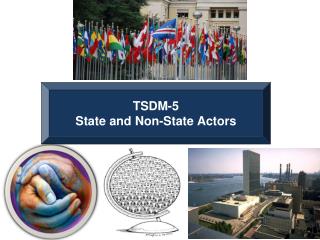 TSDM-5 State and Non-State Actors