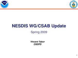 NESDIS WG/CSAB Update Spring 2009