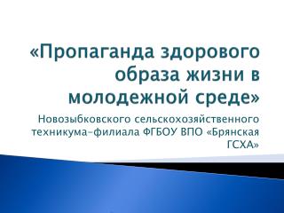 «Пропаганда здорового образа жизни в молодежной среде»