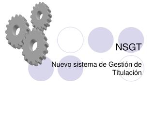 NSGT