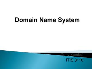 Domain Name System