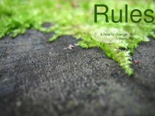 Stupid Rules