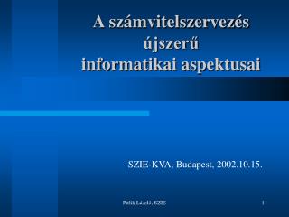 A számvitelszervezés újszerű informatikai aspektusai