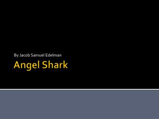 Angel Shark