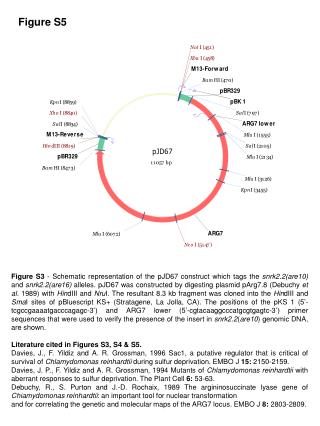 Figure S5