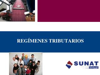 REGÍMENES TRIBUTARIOS