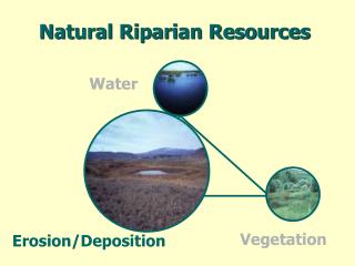 Natural Riparian Resources
