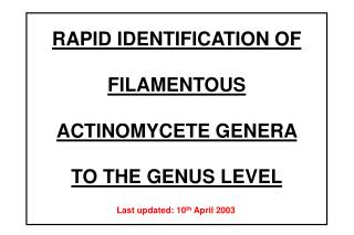 RAPID IDENTIFICATION OF FILAMENTOUS ACTINOMYCETE GENERA TO THE GENUS LEVEL