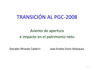 TRANSICIÓN AL PGC-2008