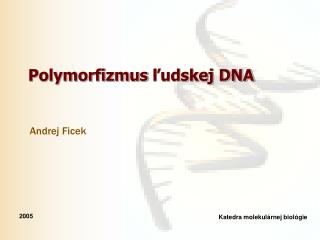 Polymorfizm us ľudskej DNA