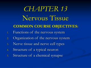 CHAPTER 13 Nervous Tissue