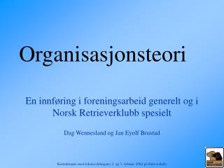 Organisasjonsteori