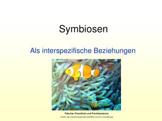 Symbiosen