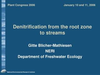 Denitrification from the root zone to streams