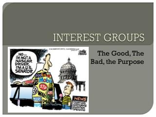 INTEREST GROUPS