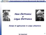 Naso Elettronico e Lingua Elettronica