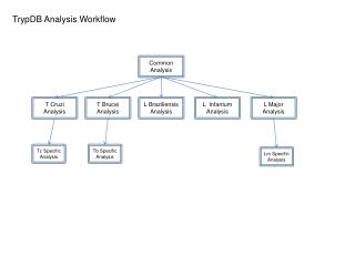 TrypDB Analysis Workflow