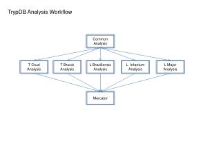 TrypDB Analysis Workflow