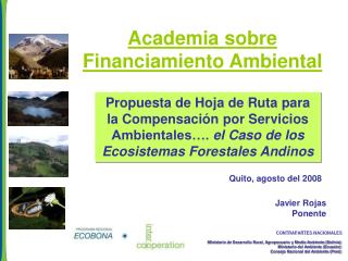 Academia sobre Financiamiento Ambiental