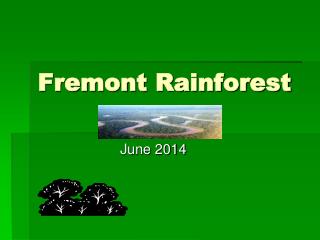 Fremont Rainforest