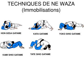 TECHNIQUES DE NE WAZA (Immobilisations)