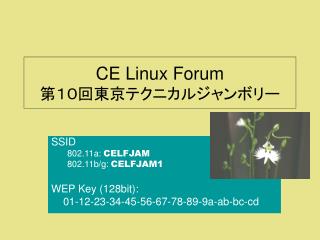 CE Linux Forum 第１０回東京テクニカルジャンボリー