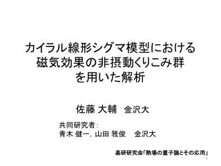 カイラル線形シグマ模型に おける 磁気 効果の非摂動 くりこみ群 を 用いた解析