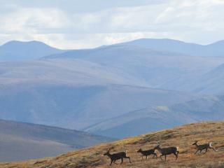 BLM-Alaska Overview