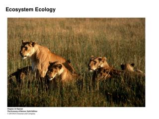 Ecosystem Ecology