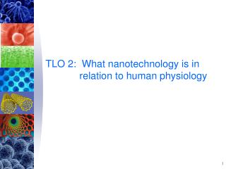 TLO 2: What nanotechnology is in relation to human physiology