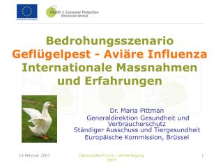 Bedrohungsszenario Geflügelpest - Aviäre Influenza Internationale Massnahmen und Erfahrungen