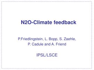 N2O-Climate feedback